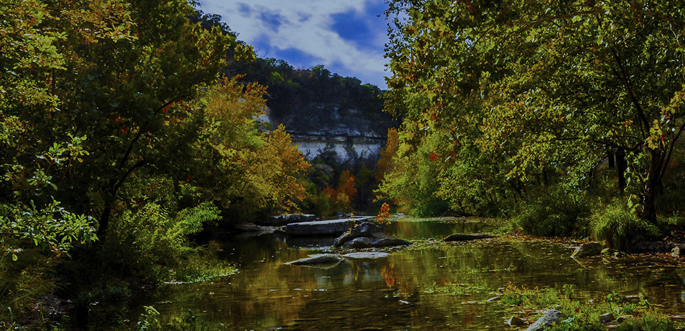 This image of trees surrounding a calm stream is a decorative backdrop for other text.